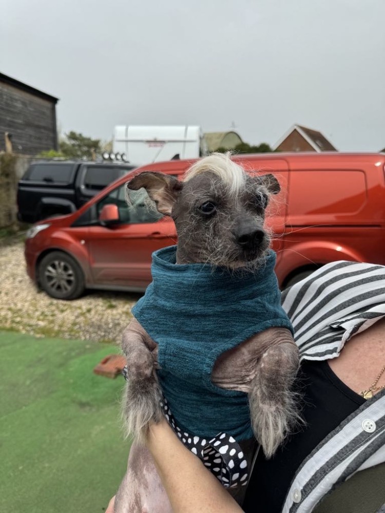 Rehabilitation for Interverbal Disc Disease