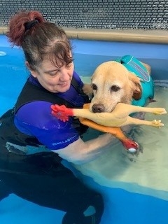 Rehabilitation for CDRM